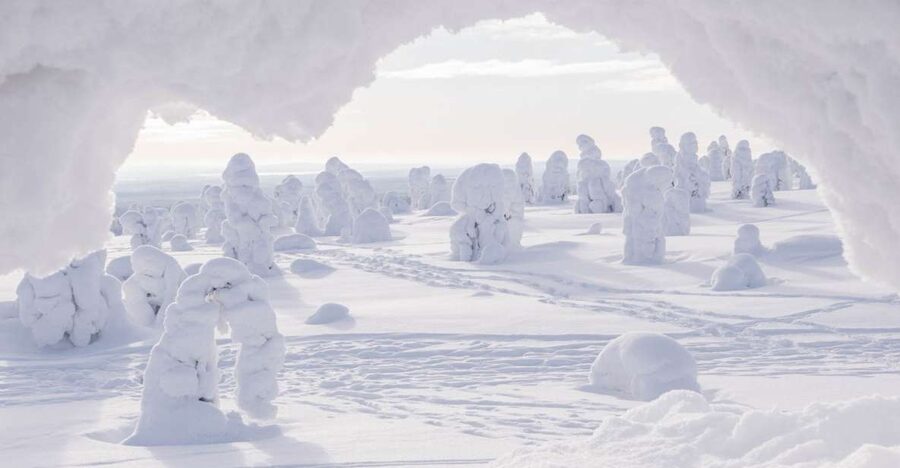 From Rovaniemi: Winter Wonderland Hike with a Hot Drink - Walking through Lapland’s winter wonderland