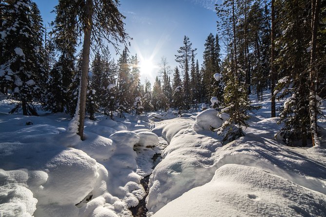 Frozen Waterfalls of Korouoma Canyon tour with Pro Photos & BBQ - The roughly 5-kilometer walk to the falls