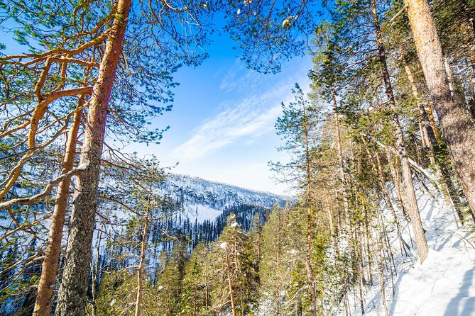 Frozen Waterfalls of Korouoma Canyon tour with Pro Photos & BBQ - A fire, BBQ lunch, and a welcome break