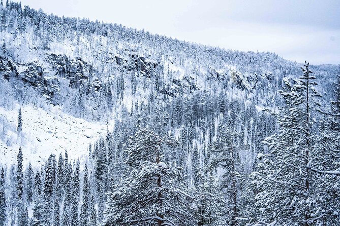 Frozen Waterfalls of Korouoma Canyon tour with Pro Photos & BBQ - What the $158.39 price includes