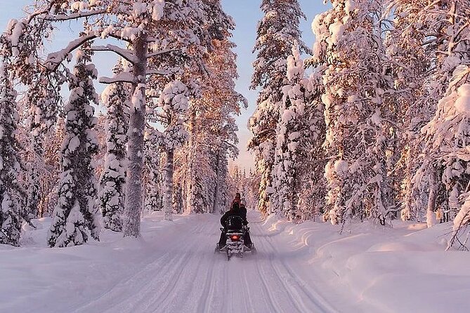 Full Day Snowmobile Safari - The forest route and guide’s pace