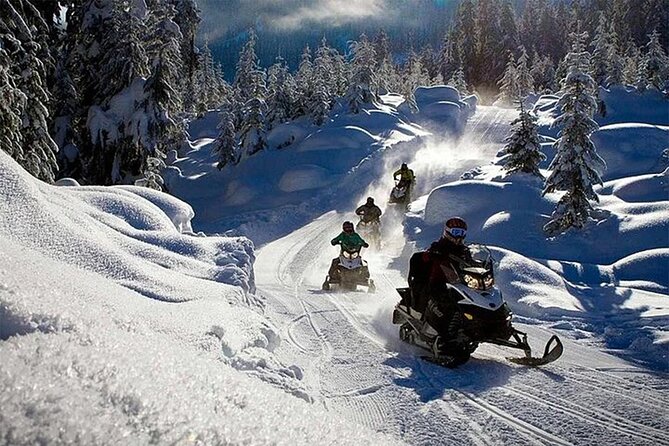 Full Day Snowmobile Safari - Who should book this snowmobile safari?