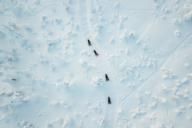 Full Day Snowmobile Safari into the Lappish Wilderness in Rovaniemi - Why the longer route changes the day