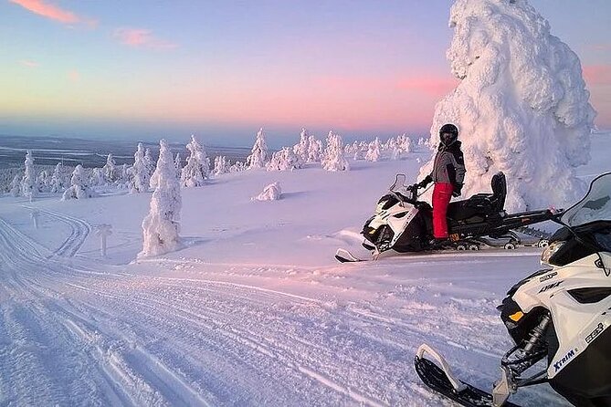 Full Day Snowmobile Safari - Sharing one snowmobile