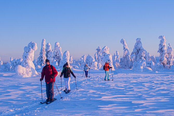 Full-Day Snowshoeing Adventure in Amethyst Mine Pyhä Luosto - Is $250.17 a fair price?