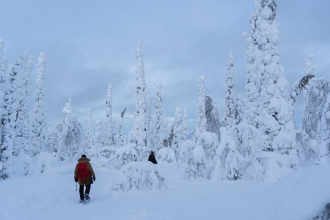 Full-Day Snowshoeing Adventure in Amethyst Mine Pyhä Luosto - Fell-top views and snow-covered trees