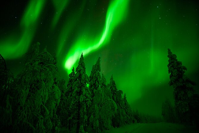 Guaranteed Northern Lights Hunting Adventure in Lapland - The ride into Lapland’s wilderness