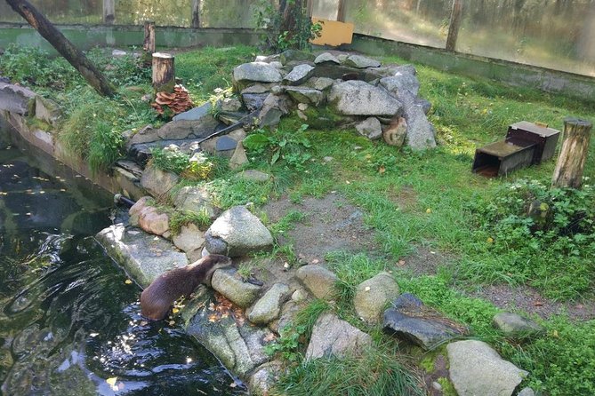 Guided Ranua Wildlife Park tour with Lunch, Small group adventure - Is $174.21 a fair price?