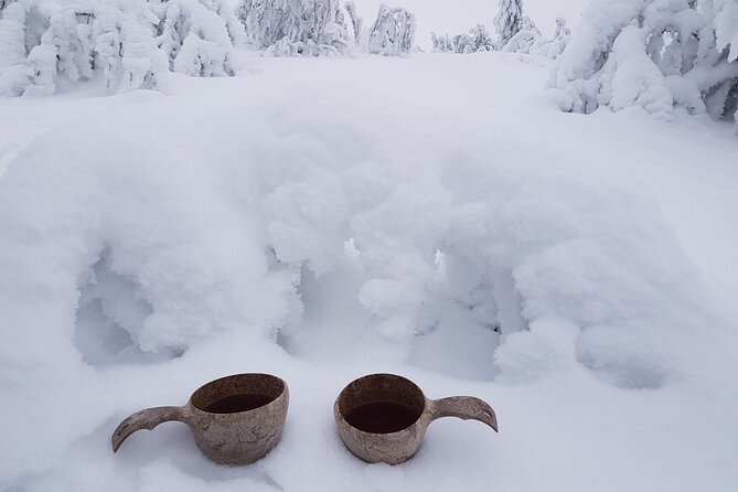 Guided reindeer farm visit and one hour sledge safari - Why the 1:30 pm start matters