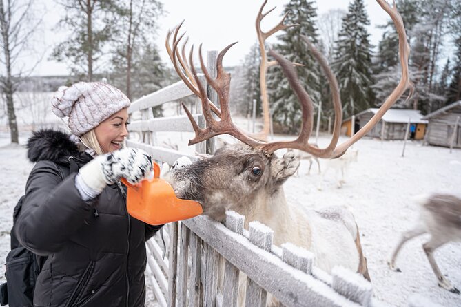 Half-Day Experience in Local reindeer farm in Lapland - Professional Photos Included in the Price