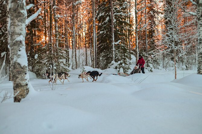 Half-Day Husky Safari and Salmon Ice Fishing Experience - Who will get the most from this outing?