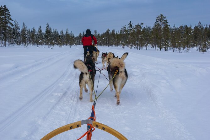 Half-Day Husky Safari and Salmon Ice Fishing Experience - Booking, timing, and weather details