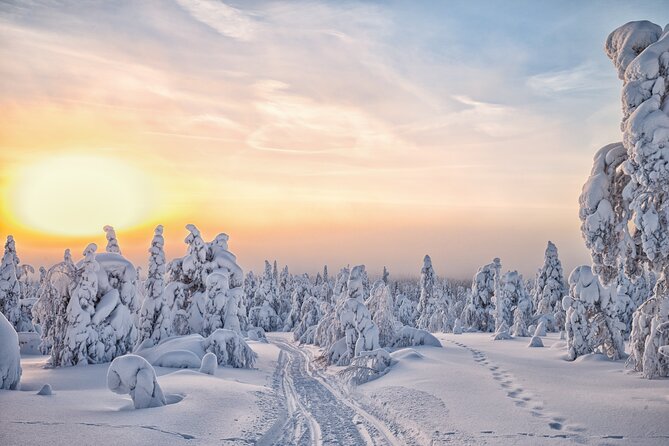 Hike to Frozen Waterfalls of Korouoma Including BBQ Lunch from Rovaniemi - A campfire meal with Finnish character