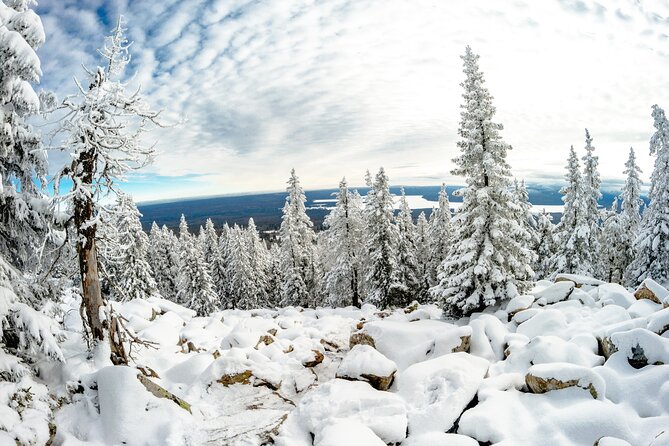 Hike to Frozen Waterfalls of Korouoma Including BBQ Lunch from Rovaniemi - What the $108 price includes