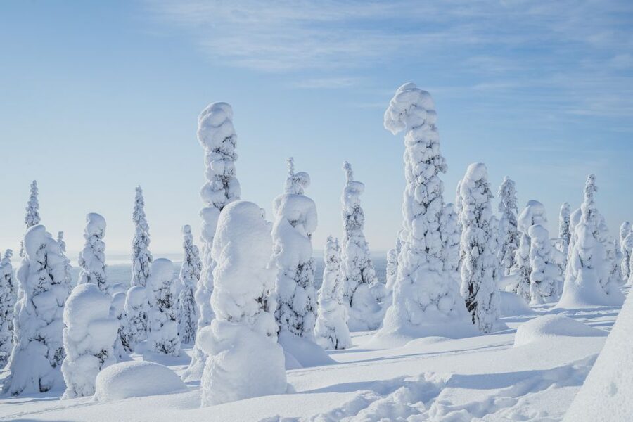 Hiking in Riisitunturi National Park with Photographer - The 5-kilometre walk through winter scenery