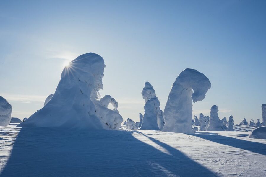 Hiking in Riisitunturi National Park with Photographer - Photography that leaves you free to enjoy the walk