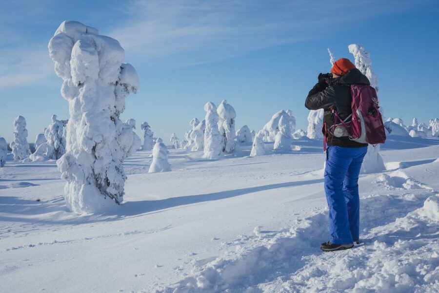 Hiking in Riisitunturi National Park with Photographer - A campfire lunch with a wide view