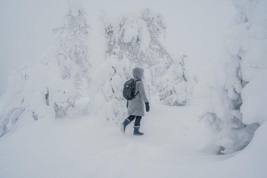Hiking in Riisitunturi National Park with Photographer - Leaving Rovaniemi in a small van