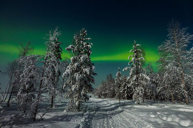 Hunting Northern Lights with Husky - Fire, blueberry juice, and a light meal