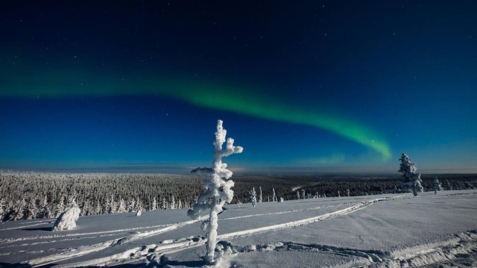 Hunting Northern Lights with Husky - Cold weather and what to bring