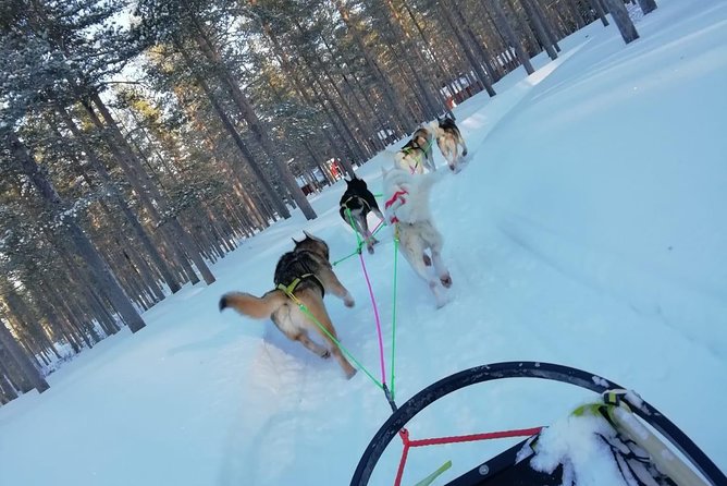 Husky safari - The hot drink at the end