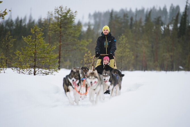 Husky Sledding Self-driving in Rovaniemi - Snowy trails through the Finnish forest