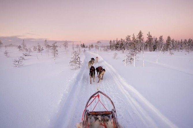 Ice Fishing and Husky - Quick points to know