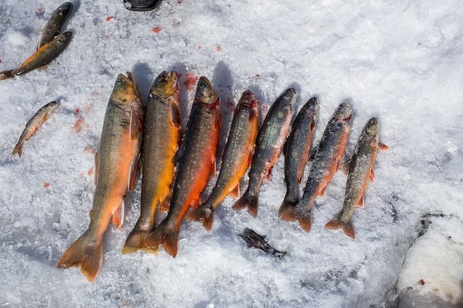 Ice Fishing and Husky - Finding your place on the frozen lake