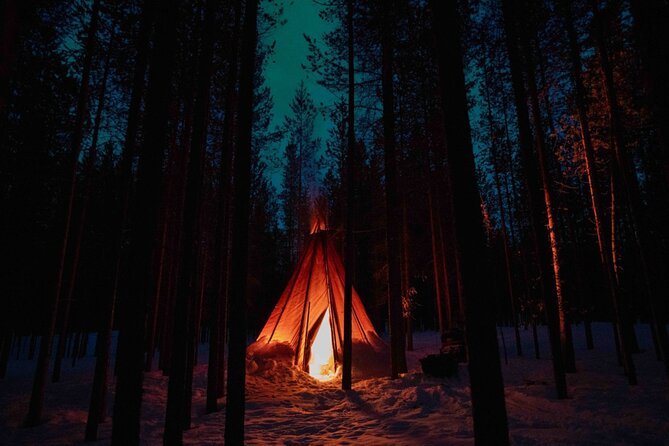 Ivalo: Aurora Hunting with Reindeer - Meeting the reindeer at the fence
