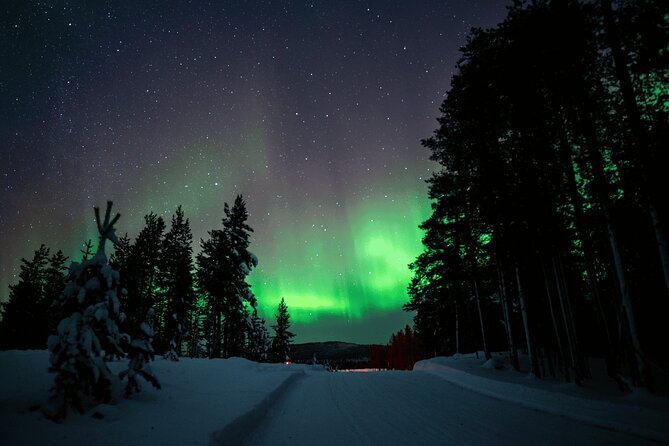 Ivalo: Aurora Hunting with Reindeer - Learning the seasonal life of reindeer herding