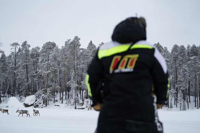 Ivalo: Reindeer herd and fishing experience - Calling the reindeer from the trees