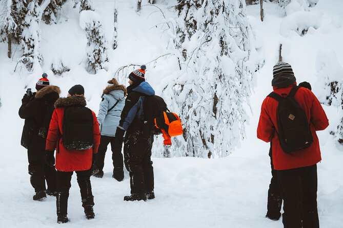 Korouoma Canyon Frozen Waterfalls - How the timing works