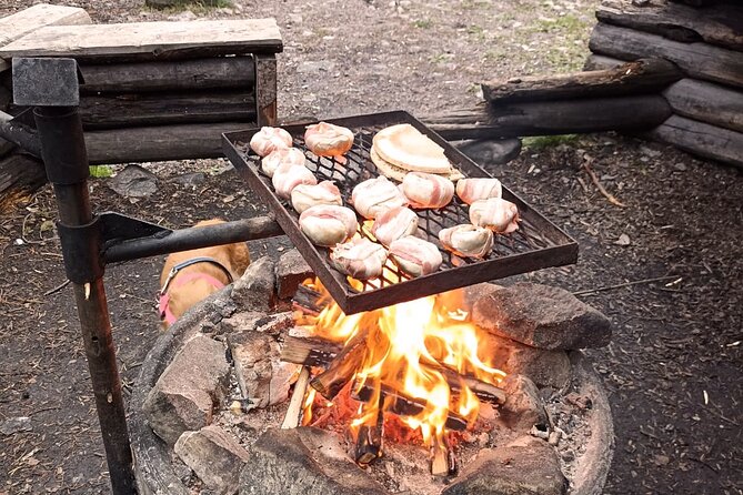 Korouoma Canyon: Frozen Waterfalls Hike & BBQ Experience - What the winter walking is really like
