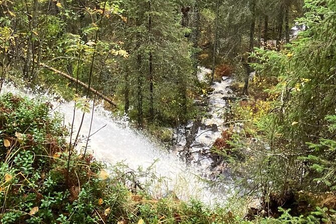 Korouoma Canyon: Frozen Waterfalls Hike & BBQ Experience - The wood-fire BBQ in the canyon