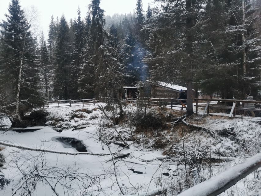 Korouoma Canyon Frozen Waterfalls Hike & Private Teepee BBQ - Key points to know before you book