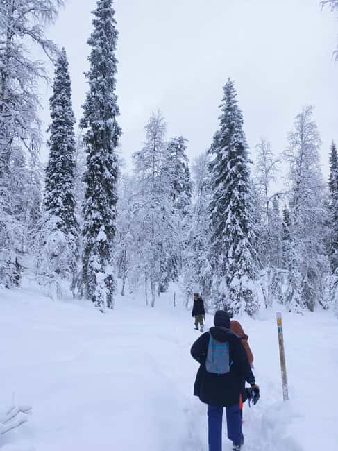 Korouoma Canyon Frozen Waterfalls Hike & Private Teepee BBQ - Frozen waterfalls are the main event
