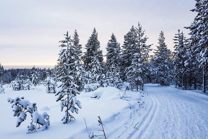 Korouoma Canyon Snowshoe Trip - Frozen waterfalls, cliffs, and quiet forest