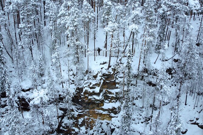 Korouoma Frozen Waterfalls Hiking Tour - Is $155.77 a fair price?
