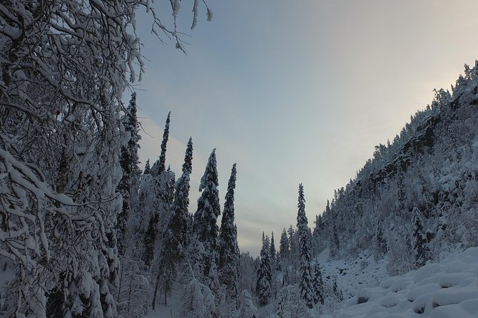 Korouoma national park and frozen waterfalls hiking tour - Price, duration, and overall value