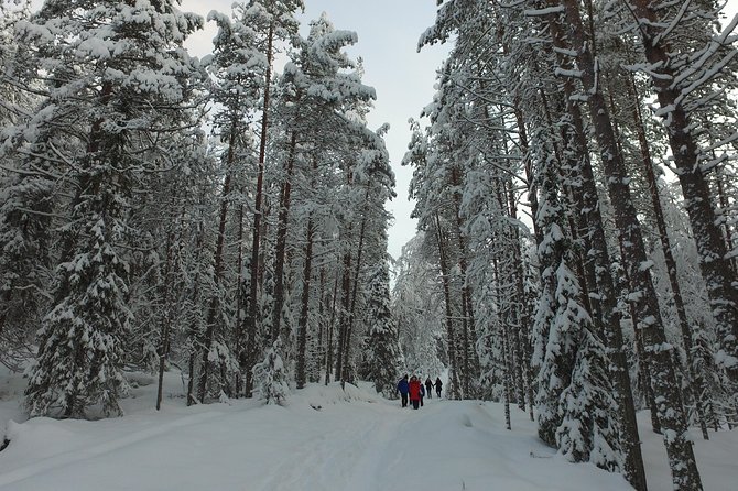 Korouoma national park and frozen waterfalls hiking tour - The morning pickup from Rovaniemi