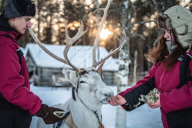 Kuoksa Reindeer Farm Visit with a Short Sleigh Ride - Who should book this experience