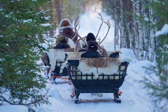Kuoksa Reindeer Farm Visit with a Short Sleigh Ride - What the three-hour visit includes