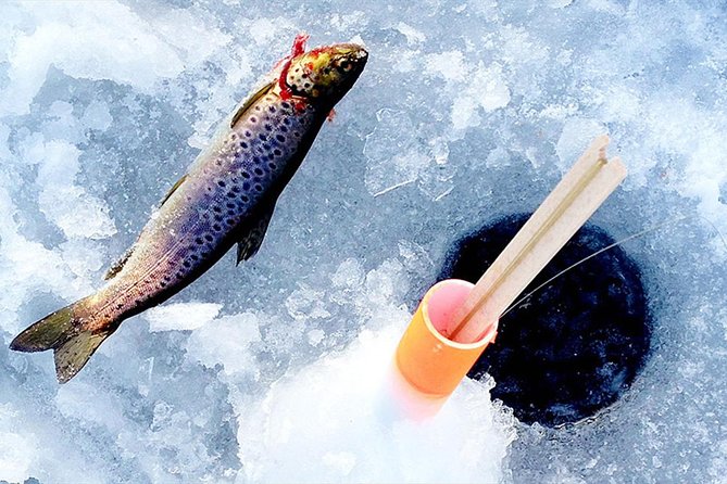 Lakeside Sauna Trip with Ice Fishing and Ice Swimming - A campfire lunch with Lappish flavors