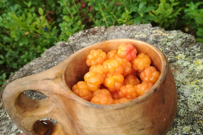 Lapland Berry Day Experience - Following the guide from Rovaniemi into the forest