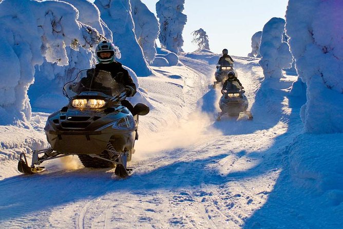 Lapland Family Snowmobile Safari from Rovaniemi - The guide-led sled keeps younger children involved