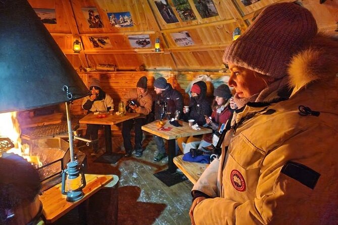 Lapland In A Day - Reindeer, Sledding, Snowmobile & Nature - From central Rovaniemi to the snowy woods of Vikajärvi