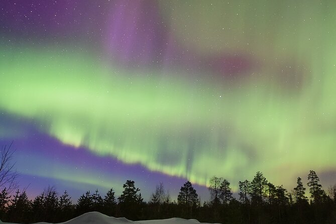 Lapland In A Day - Reindeer, Sledding, Snowmobile & Nature - Downhill sledding, a snow slide, and simple winter fun