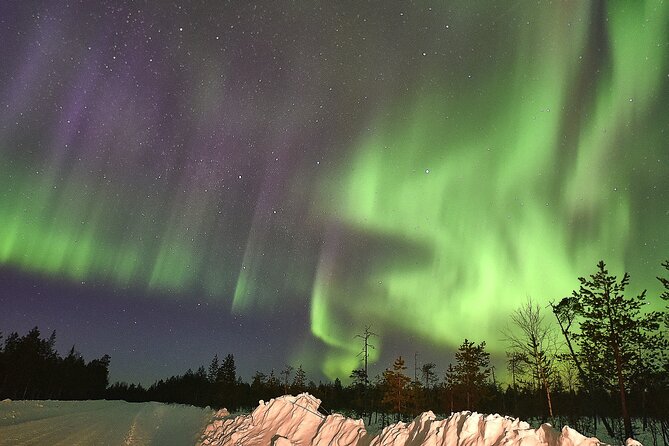 Lapland In A Day - Reindeer, Sledding, Snowmobile & Nature - A lantern-lit forest walk after dark
