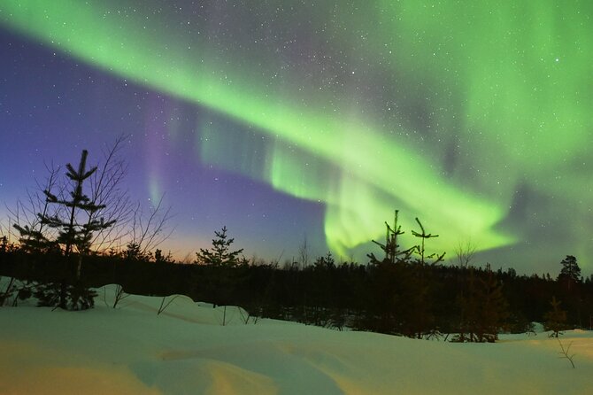 Lapland In A Day - Reindeer, Sledding, Snowmobile & Nature - The Northern Lights: treat them as a bonus