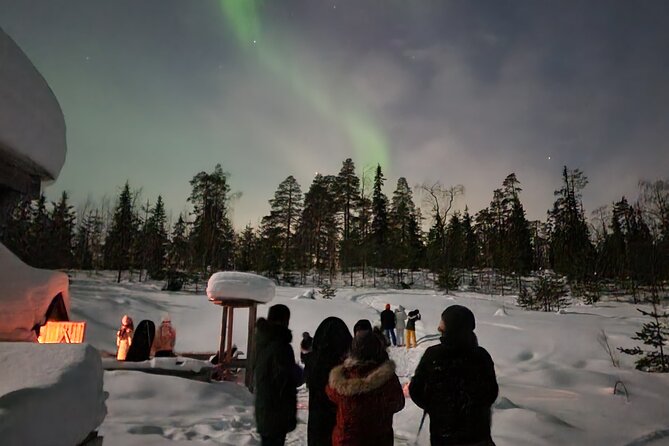 Lapland In A Day - Reindeer, Sledding, Snowmobile & Nature - Who will get the most from this half-day outing?